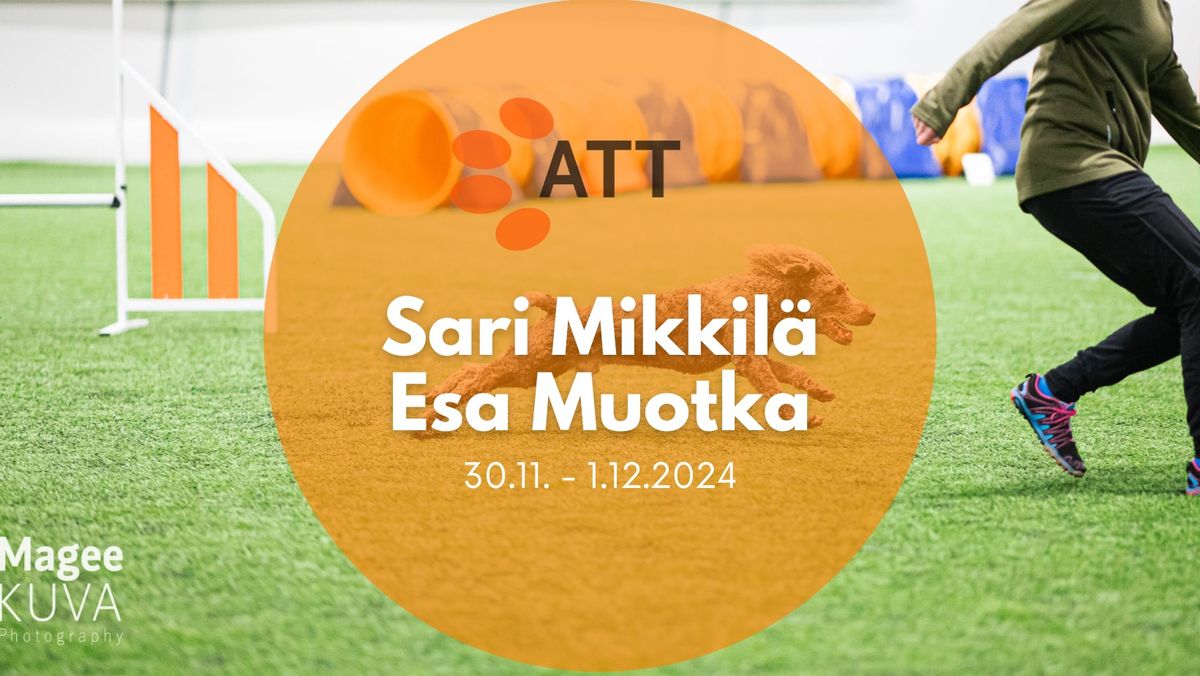 ATT joulukuun kisat 2024