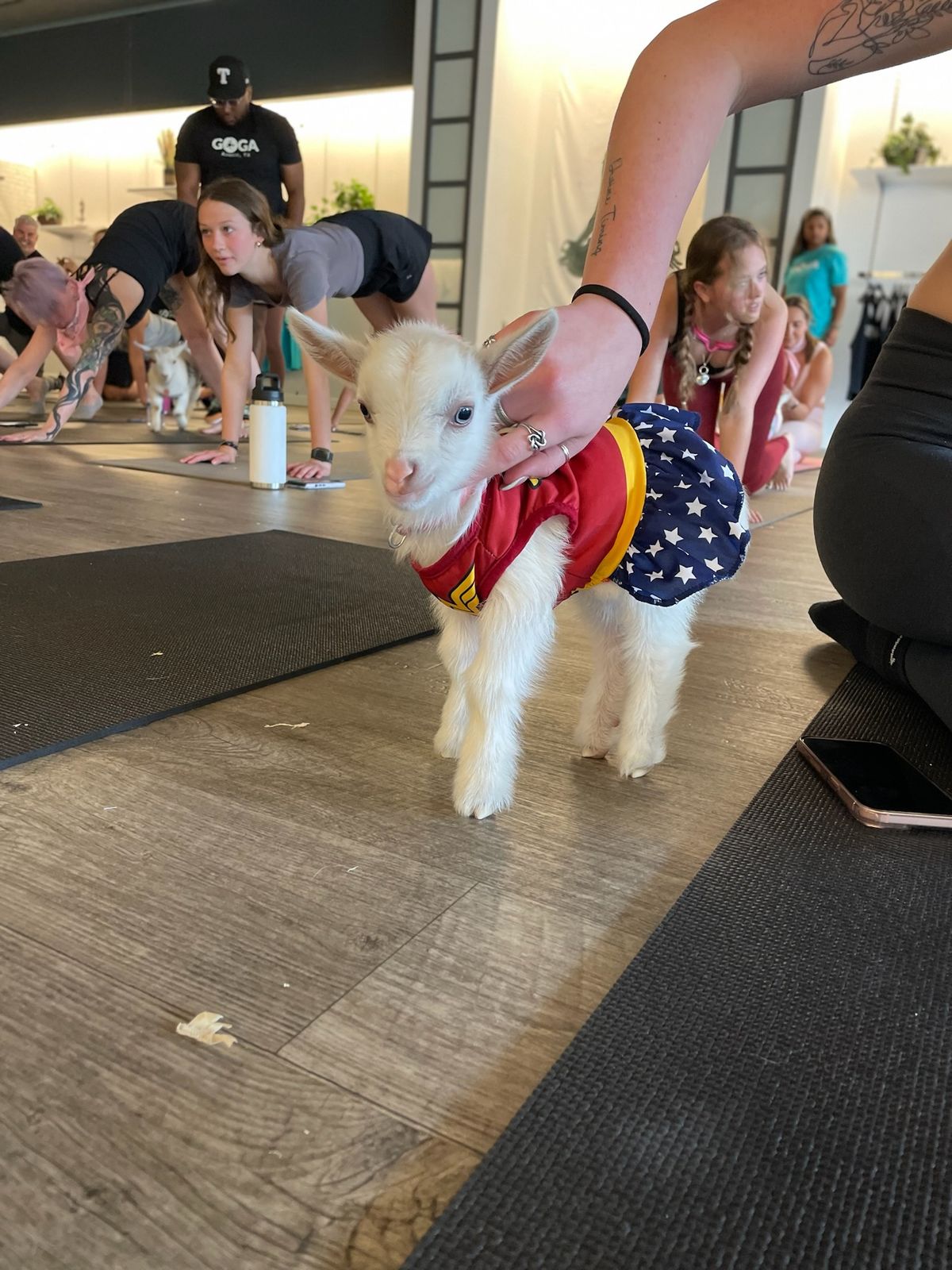 GOGA Goat Yoga