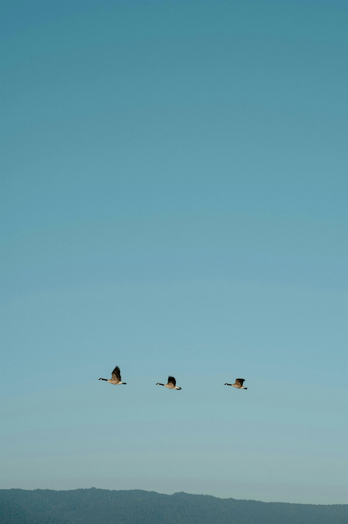 Stand By Me Training