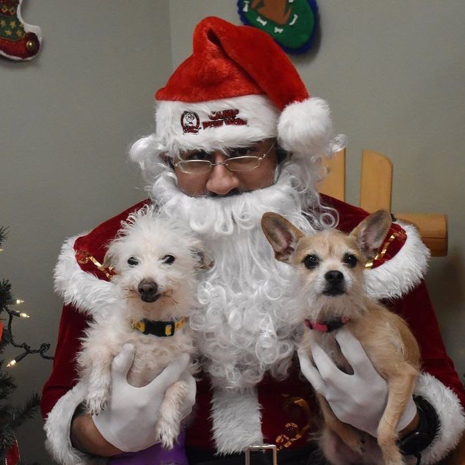 Santa Pictures For Pets and People 2024