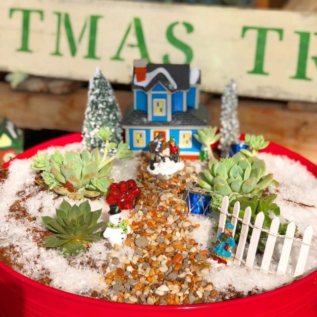 Childrens Miniature Christmas Garden 