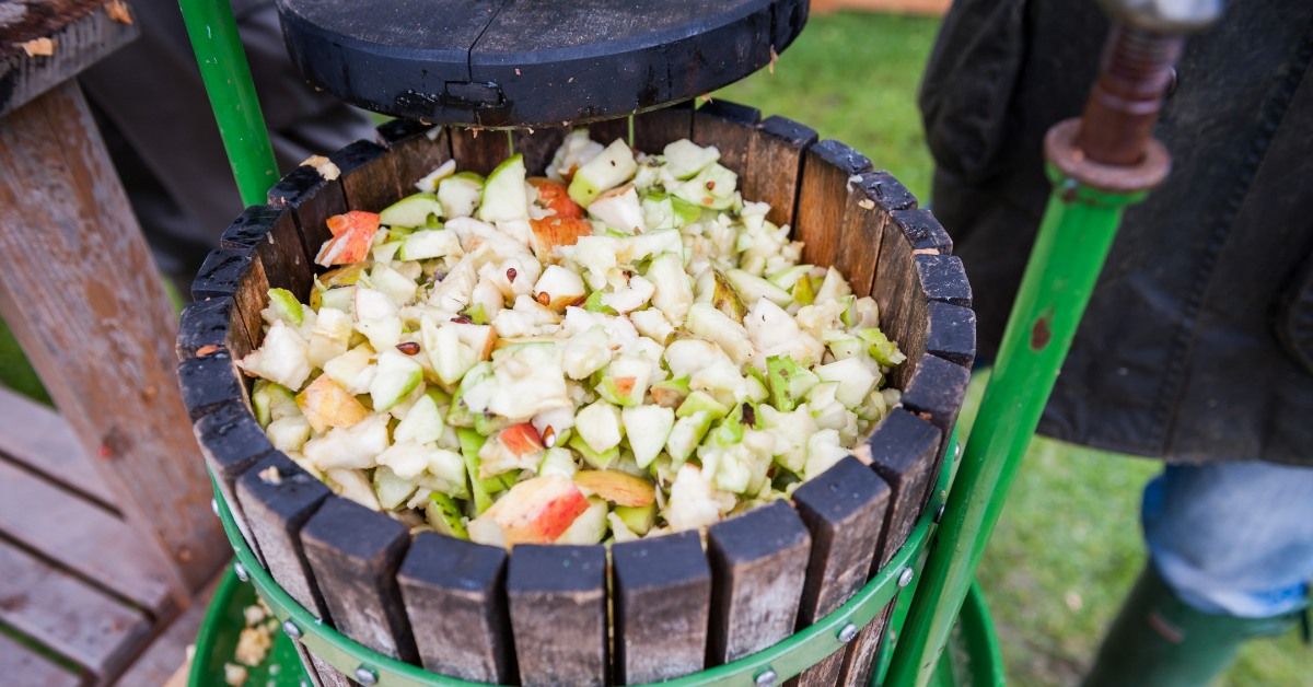 Apple Pressing Day