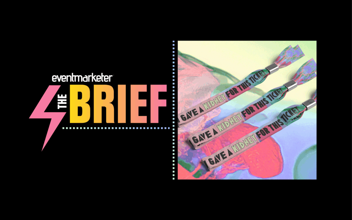 The Briefs