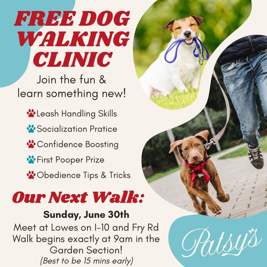 Dog Walking Clinic