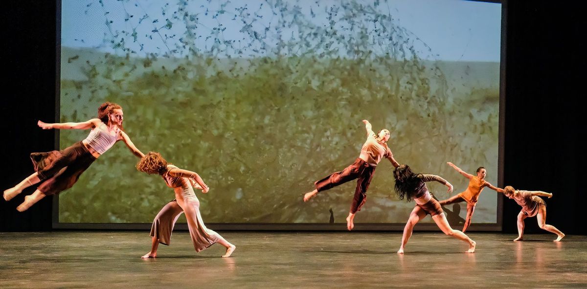 ICONS Choreographic Institute presents FIVE WORLD PREMIERES