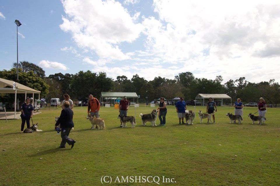 2023 Annual Ribbon Parade and Introduction to Weight Pull, Dogs ...