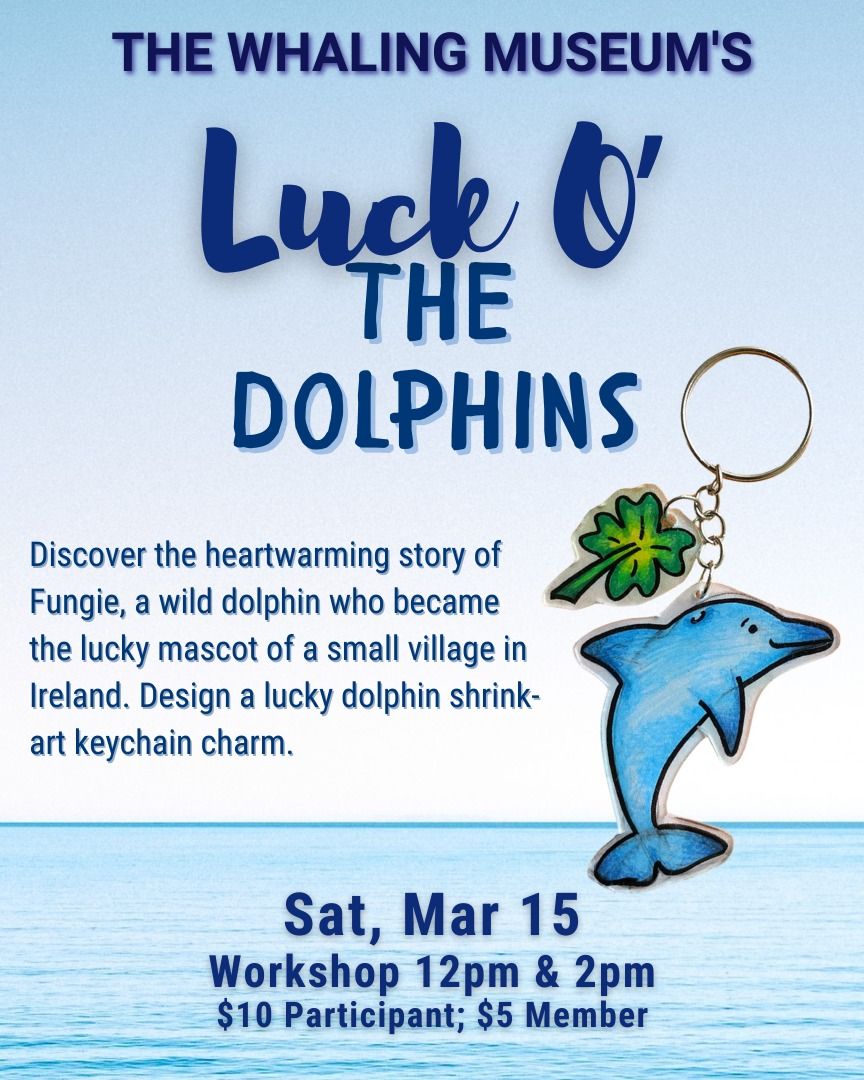 Luck O' the Dolphins Workshop