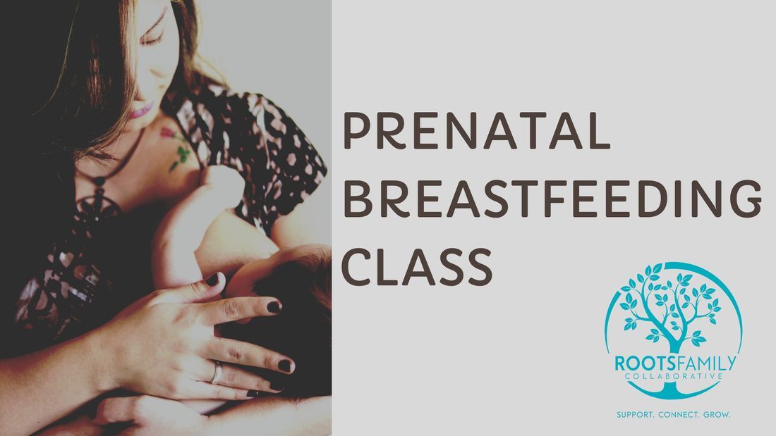 Prenatal Breastfeeding Class