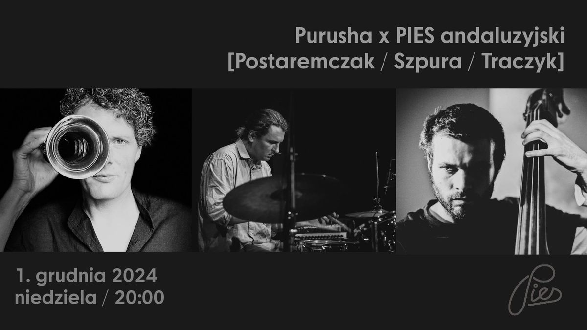 Purusha w PSIE [Postaremczak \/ Szpura \/ Traczyk] \u2022 1. grudnia \/ niedziela \/ 20:00