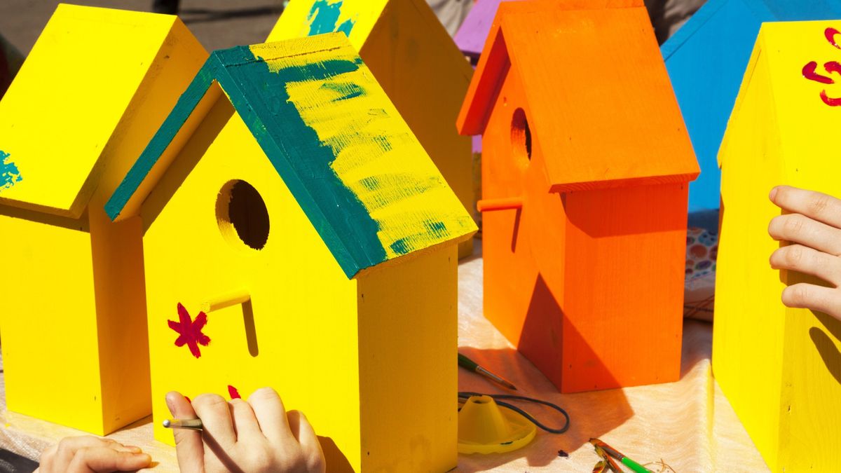 Workshop: Birdhouse and Bird Feeder Class