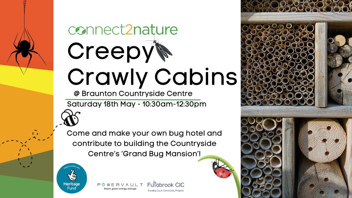 Creepy Crawly Cabins - Make your own bug hotel