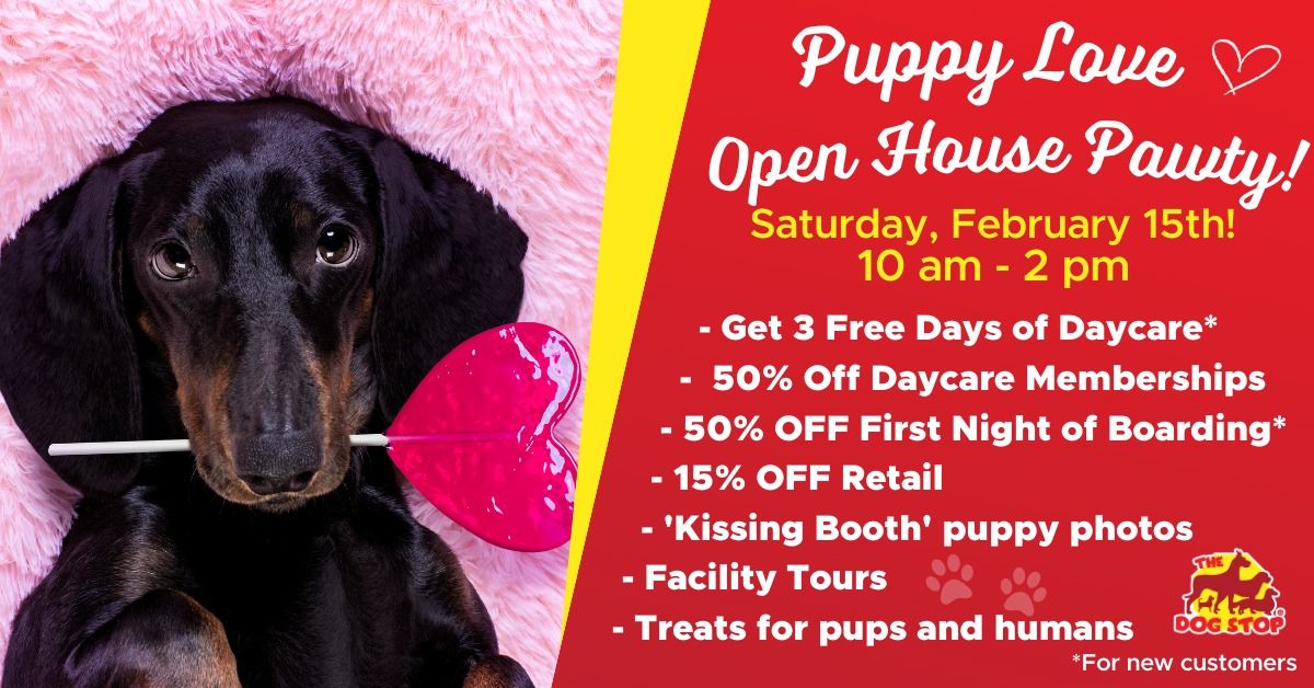  Puppy Love Valentine's Pawty and Open House!