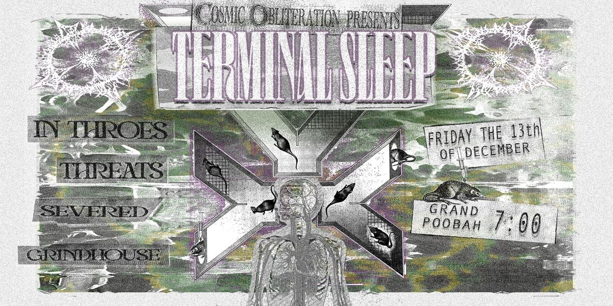 STEAMROLLING THE SOUTH ISLAND: TERMINAL SLEEP + MORE 