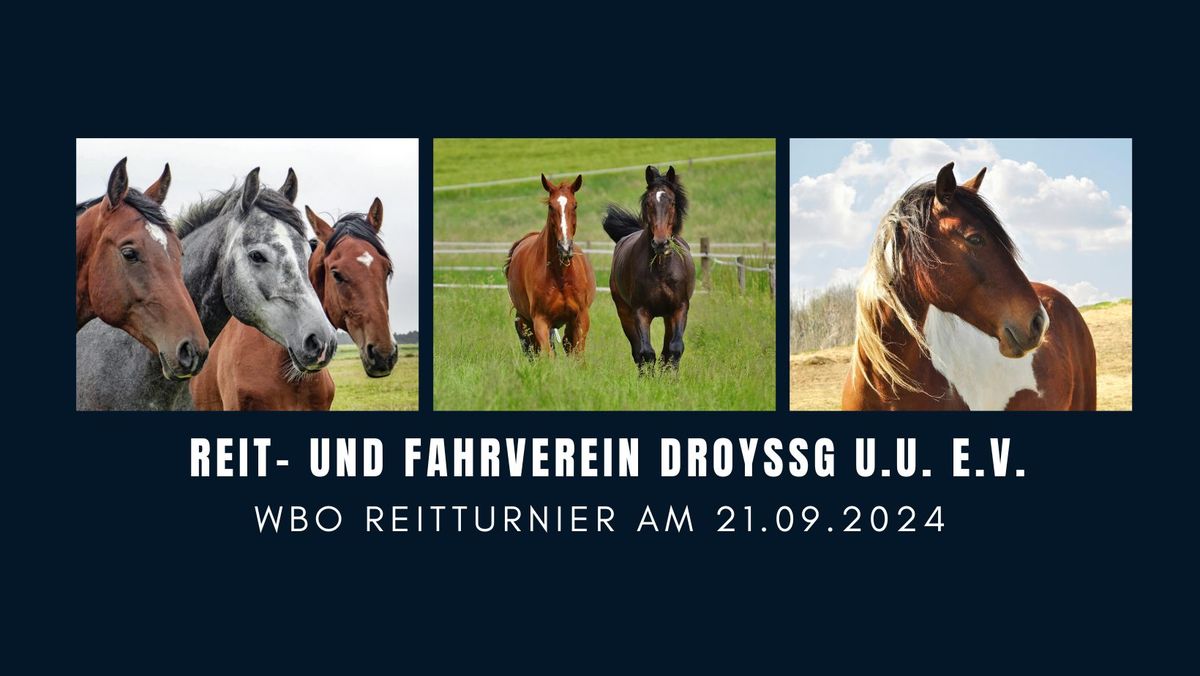 WBO Reitturnier in Droy\u00dfig