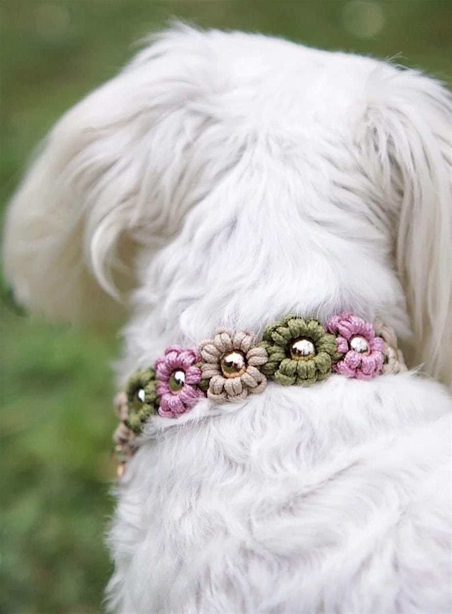 Atelier collier fleuri macram\u00e9