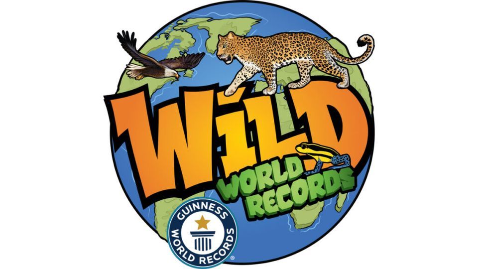 Wild World Records 