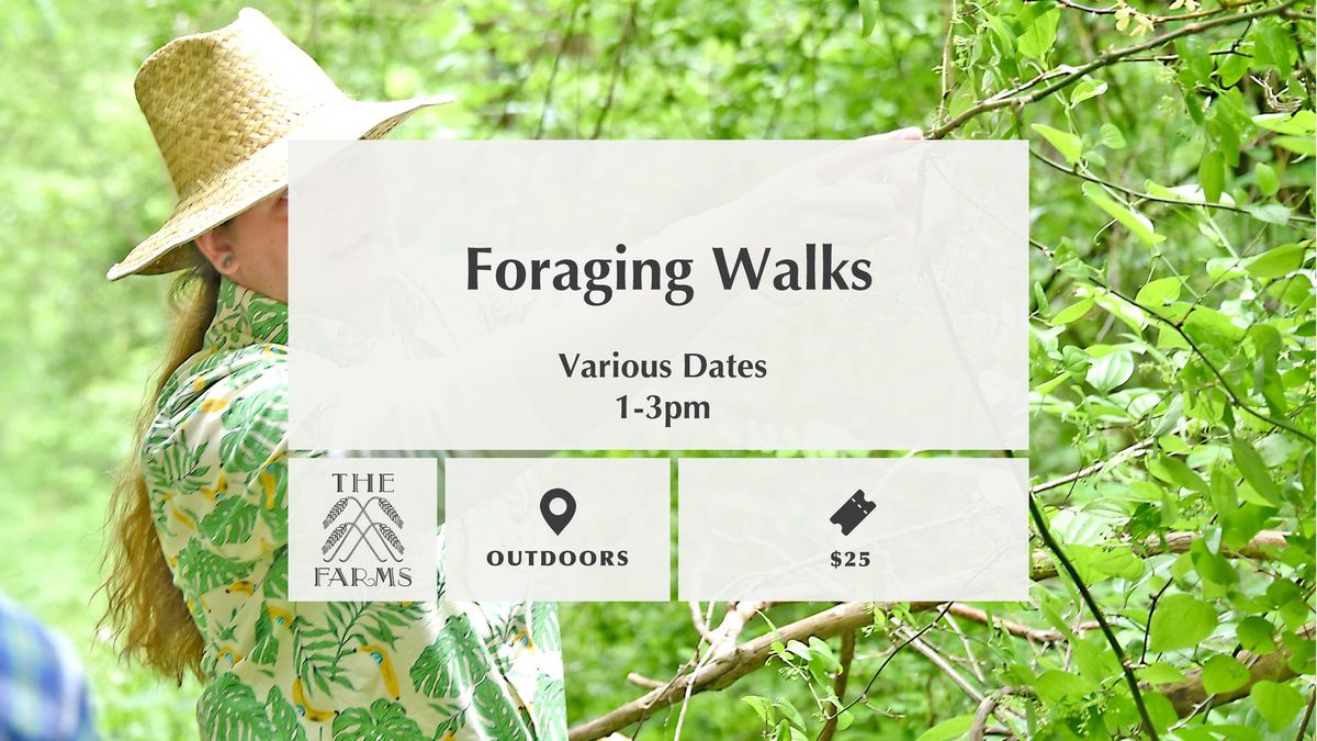 Foraging Walks