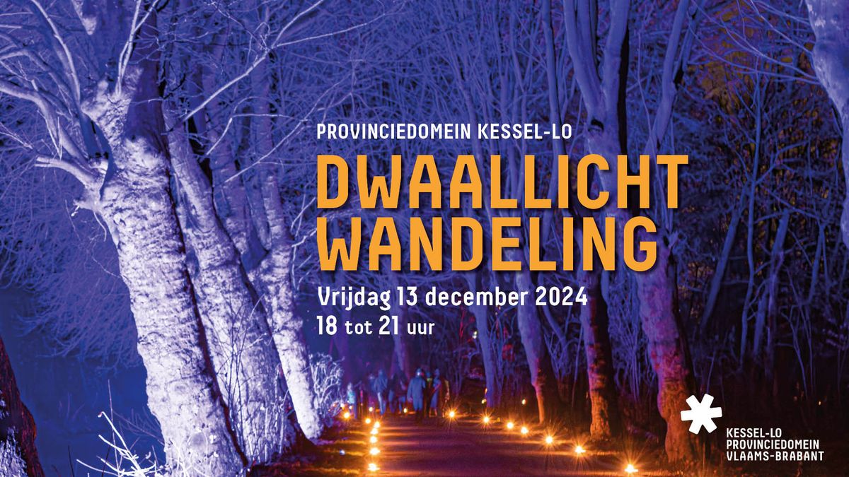 Dwaallichtwandeling in Provinciedomein Kessel-Lo