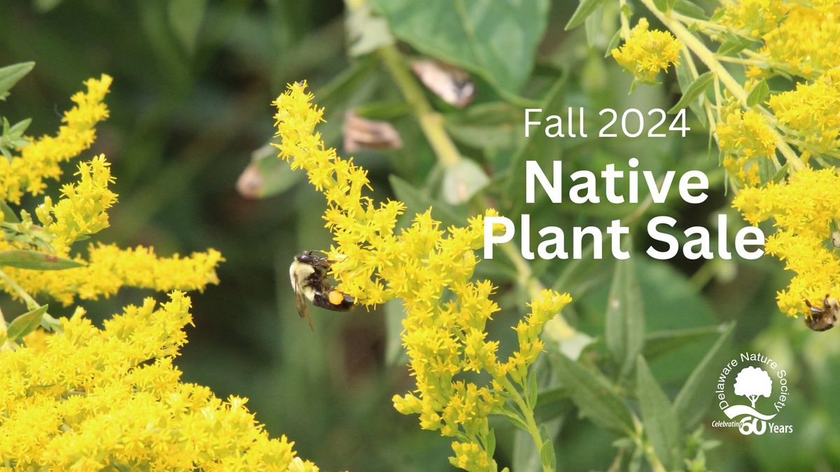 Fall Native Plant Sale