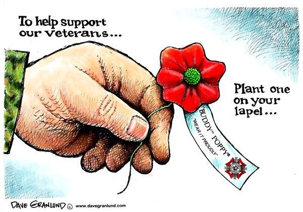 Buddy Poppy Drive