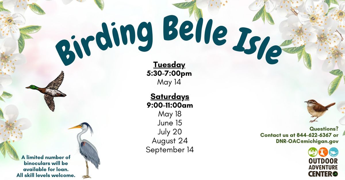 Birding Belle Isle