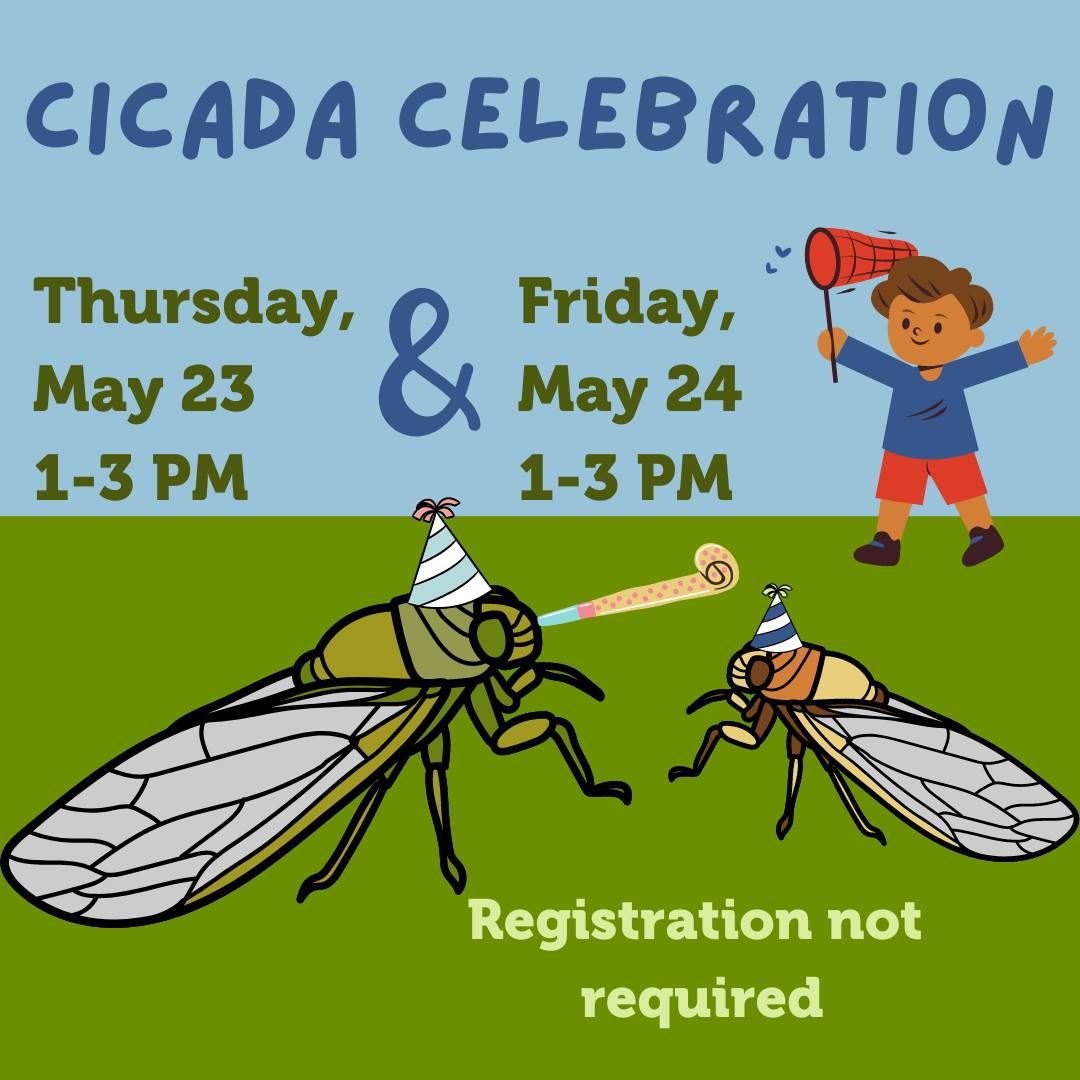 Cicada Celebration