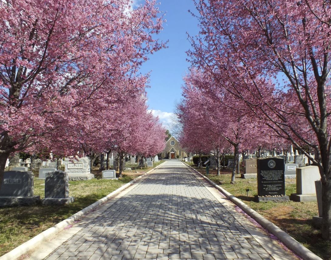 How Dogs Walkers Saved the Cemetery \u2013 a Congressional Cemetery Story.