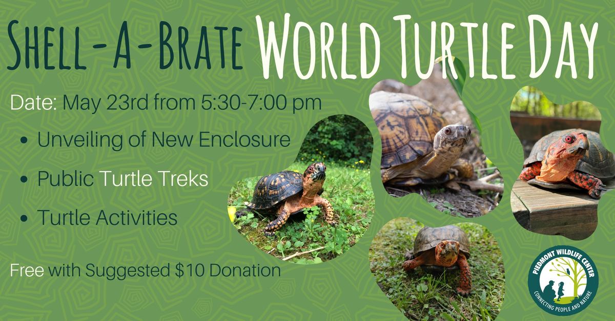 "Shell-A-Brate" World Turtle Day