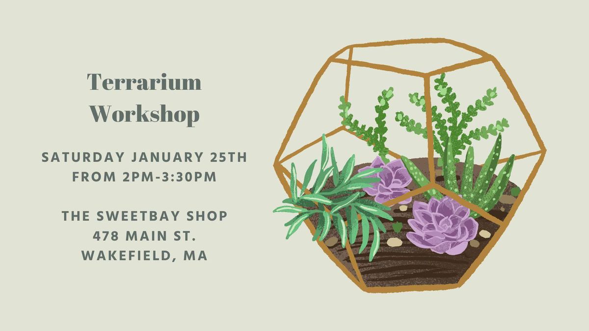 Terrarium Workshop