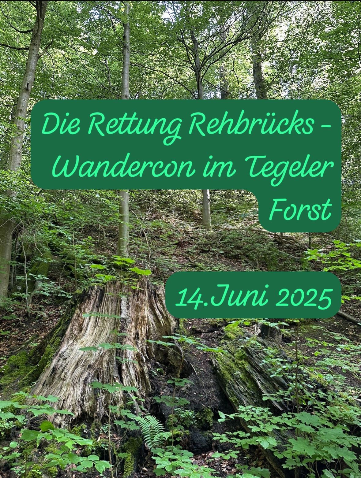 Save the Date! Die Rettung Rehbr\u00fccks - Wandercon im Tegeler Forst