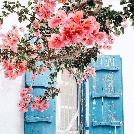 Powr\u00f3t do Pe\u0142ni Siebie - Ustawienia Hellingerowskie