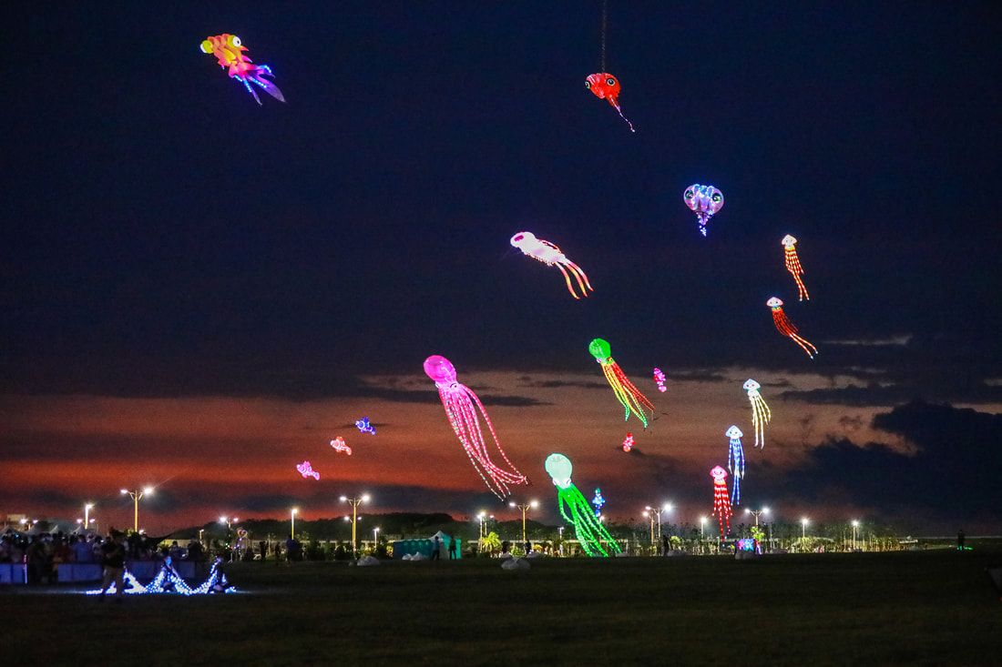 Kites with Lights 2024