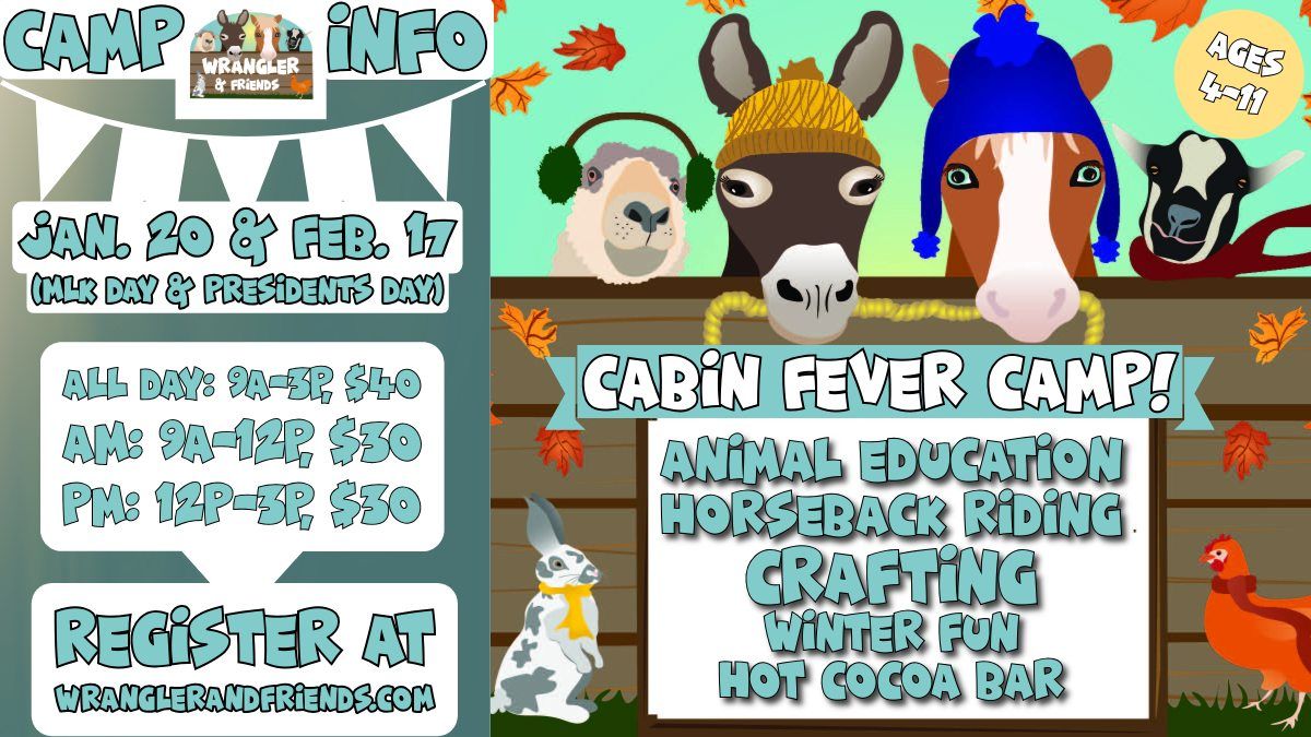 Cabin Fever Camp