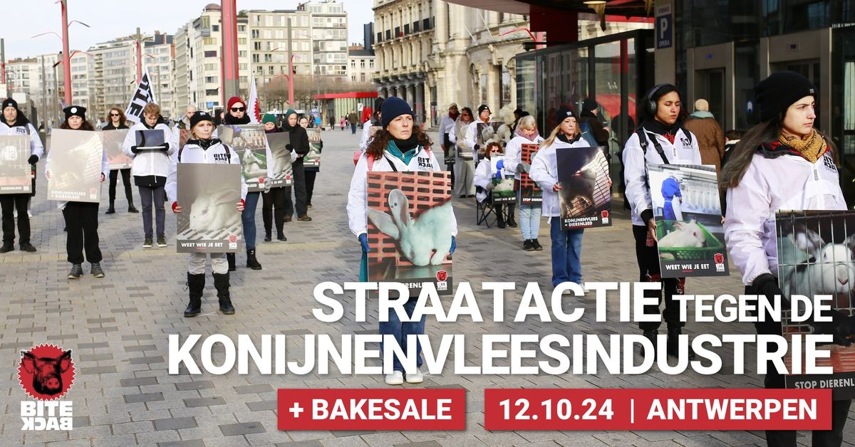 Straatactie Antwerpen | Stop de Konijnenvleesindustrie