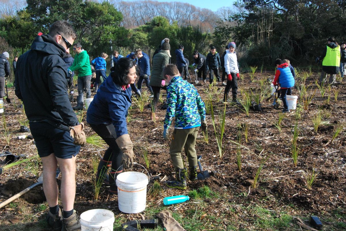 Eco-Action Red Zone planting, May 2025