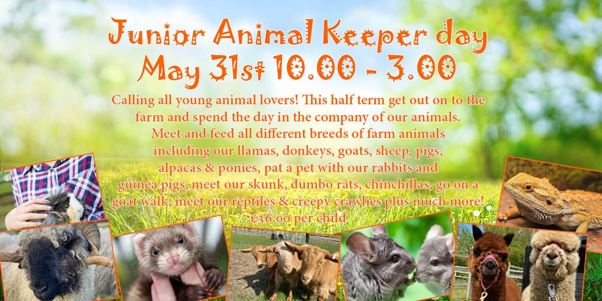 Half Term Junior Animal Keeper Day