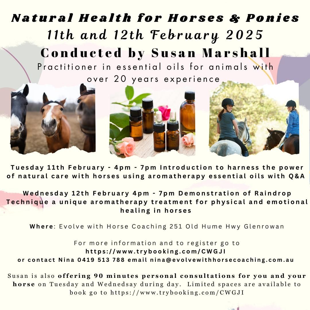 Discover the Power of Natural Care with Essential Oils for Horses