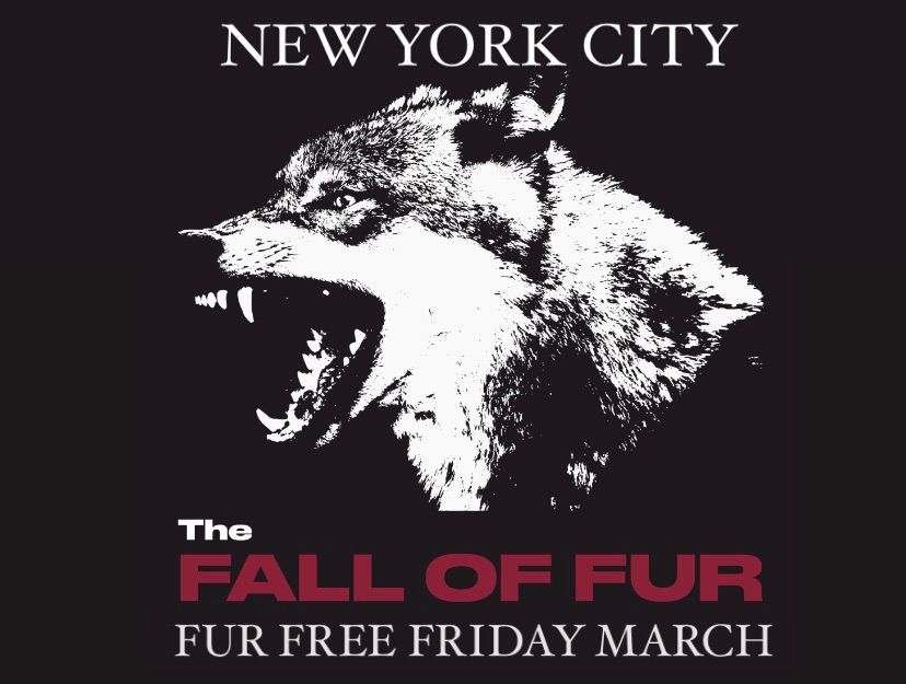 NYC FUR-FREE FRIDAY \u201824