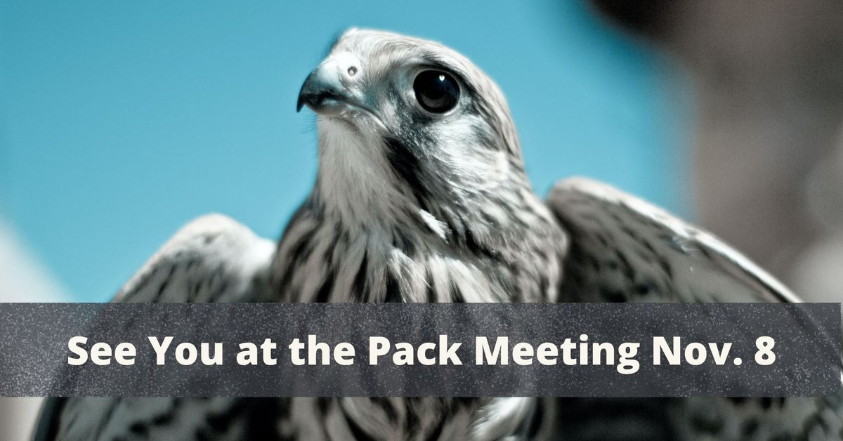 November Pack Meeting