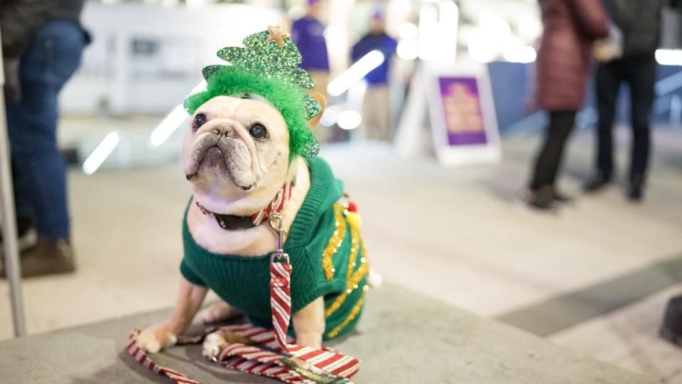 Rosslyn Cheer 2024: Santa Paws Yappy Hour