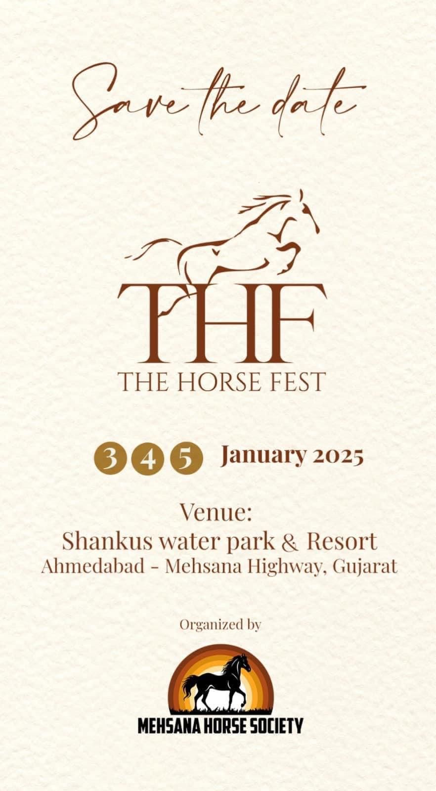 THE HORSE FEST 