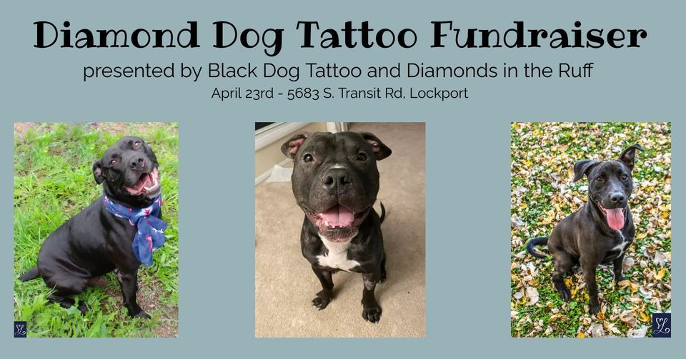 Diamond Dog Tattoo Fundraiser