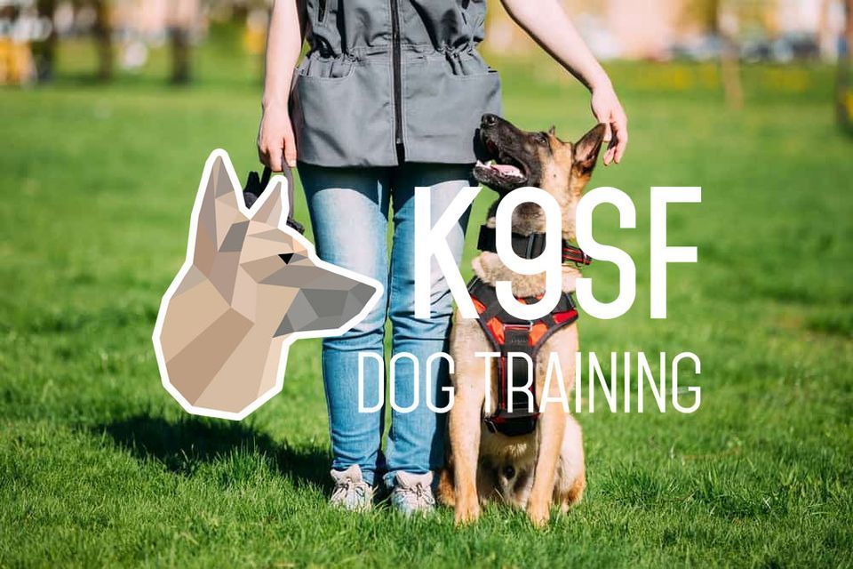 K9SF Grand Opening!, K9SF Dog Training, Minneapolis, 12 November 2022