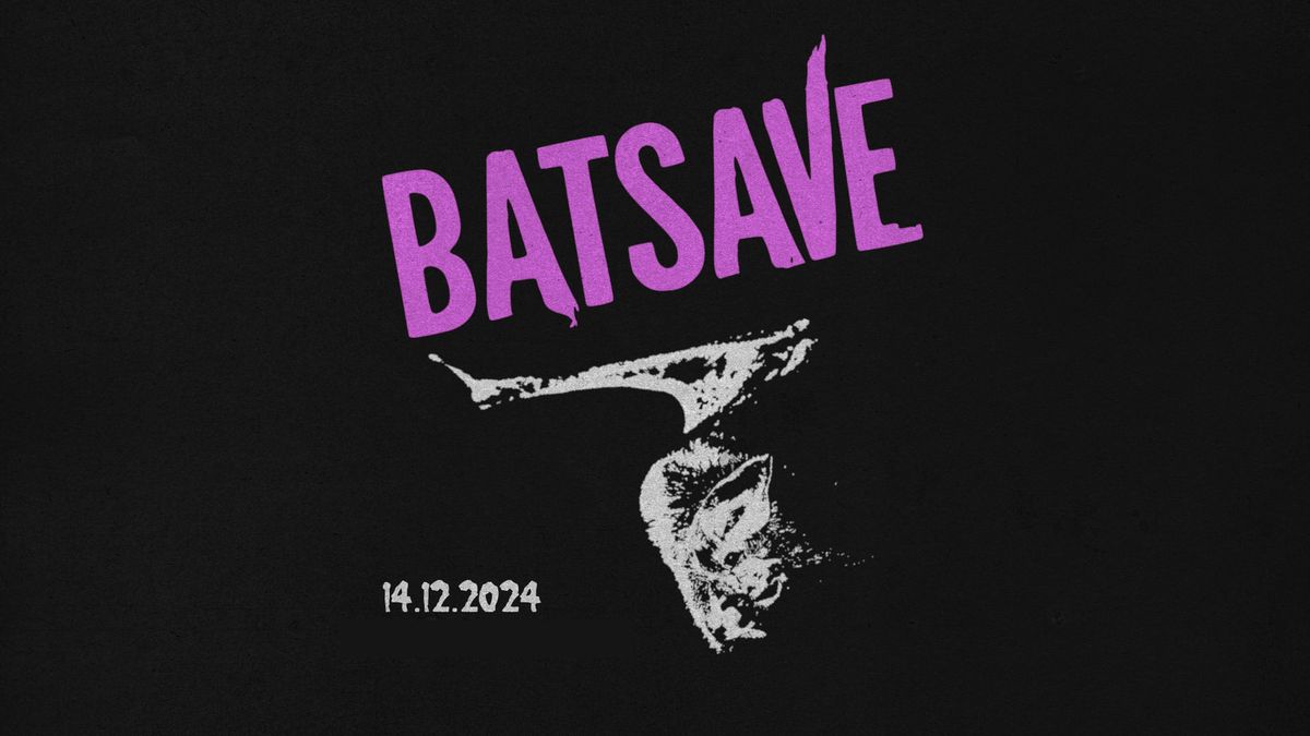 Batsave \u262514\u262512