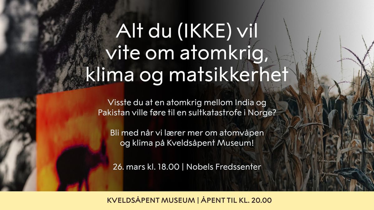 Alt du (ikke) vil vite om atomkrig, klima og matsikkerhet