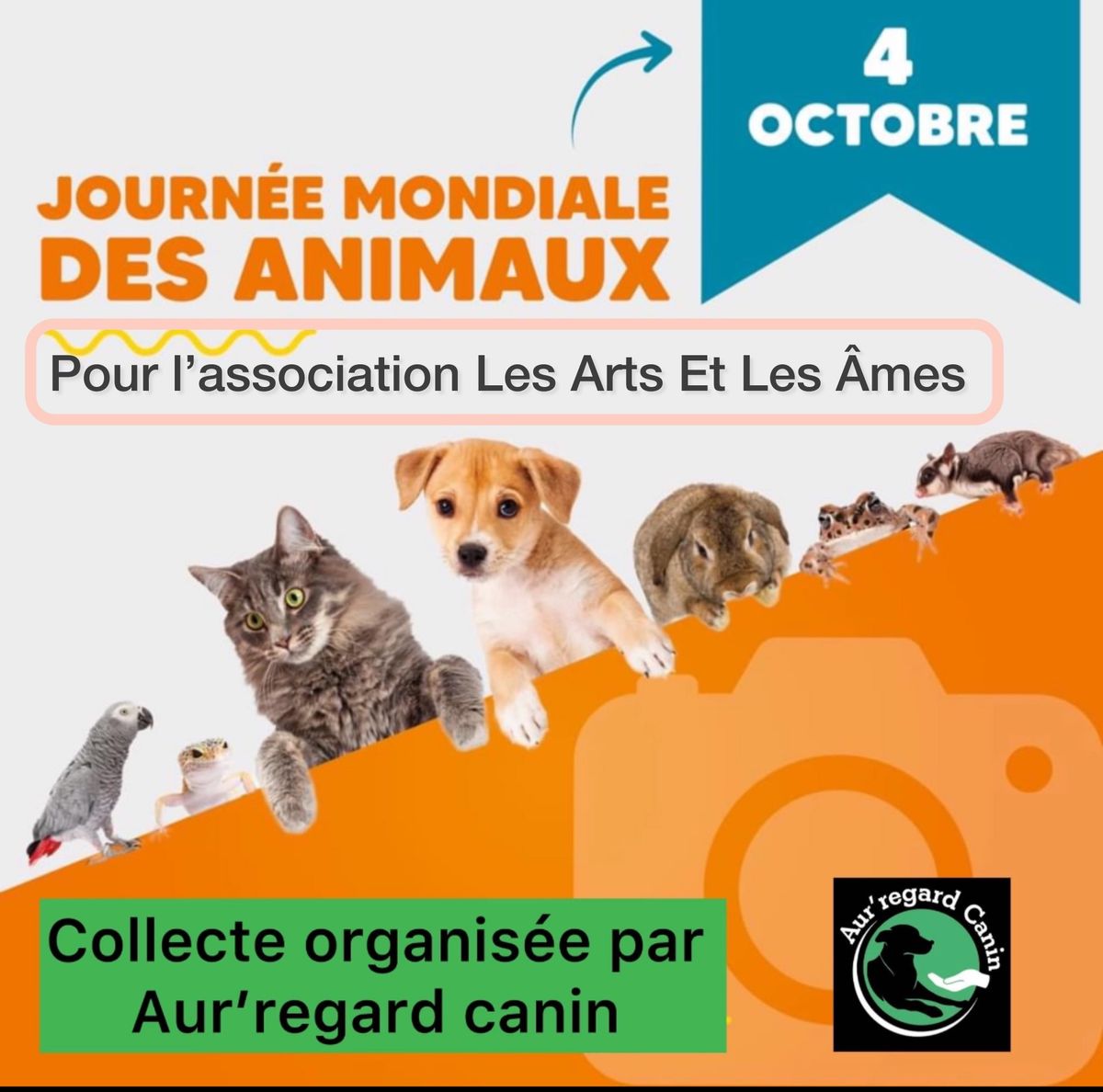 Collecte pour nos compagnons \u00e0 4 pattes \ud83d\udc3e  pour l\u2019association les Arts et les \u00c2mes \u00e0 Rouen 