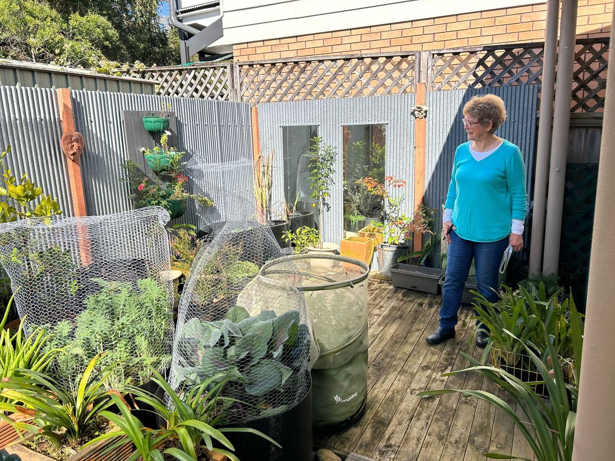 Espalier Trees and Veggie Gardens at Dianne's Permablitz in Narara