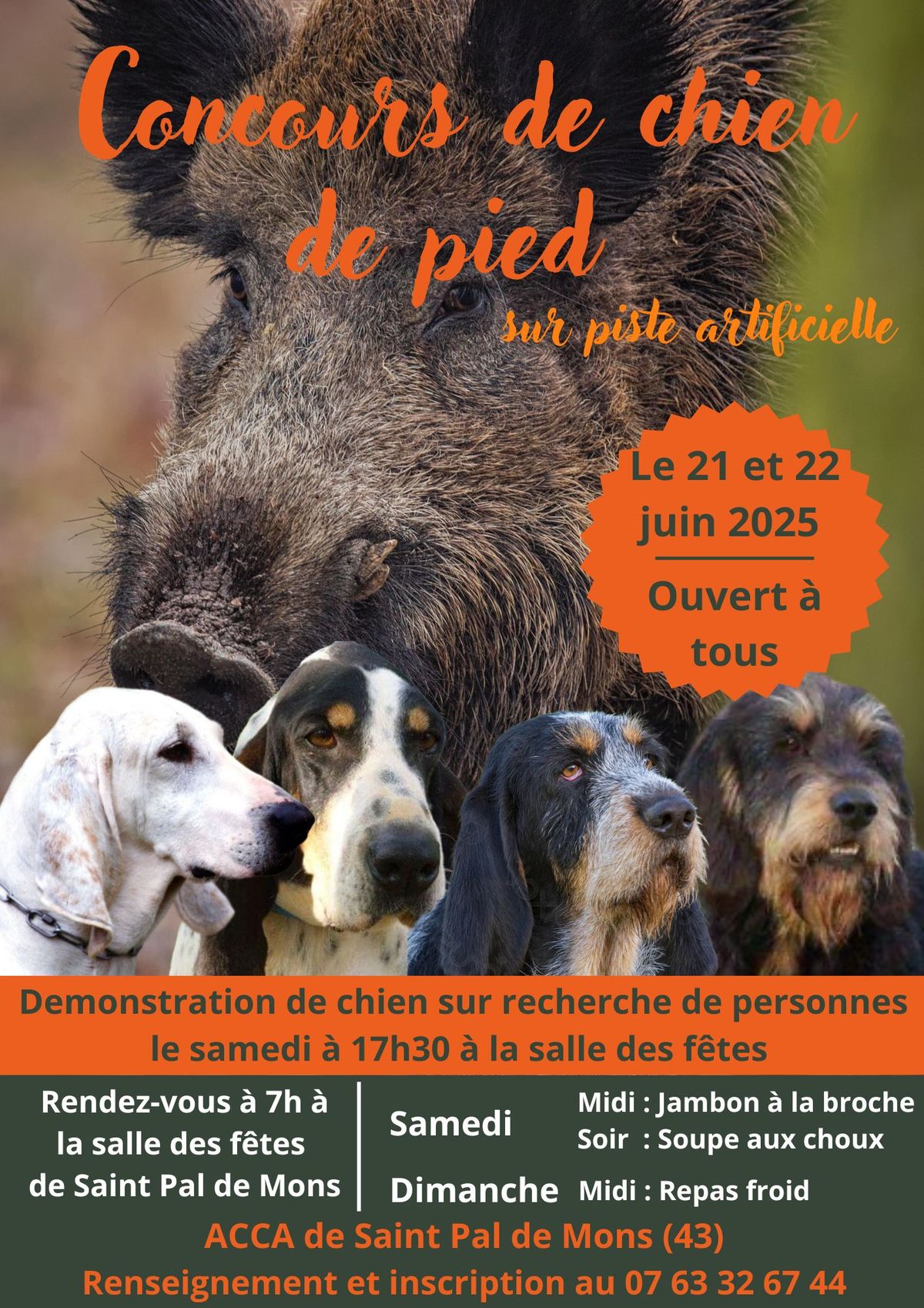 Concours chien de pied Saint Pal de Mons