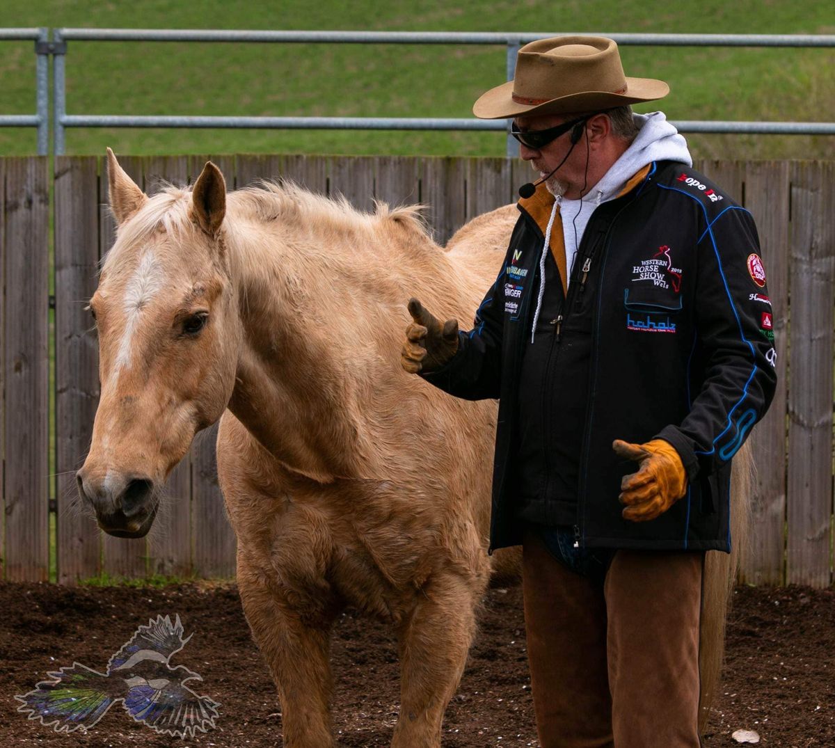 \ud83d\udd36 Clive Johnson \ud83d\udd36 - Horsemanship, Groundwork And Ridden Clinic - Saturday, 5th October