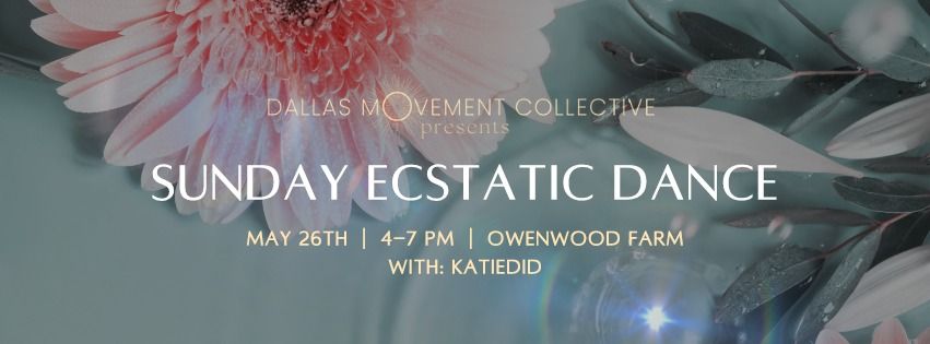Ecstatic Dance | Sunday Afternoon w. katiedid